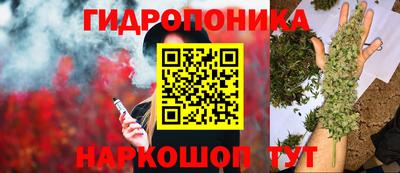 дмт Заводоуковск